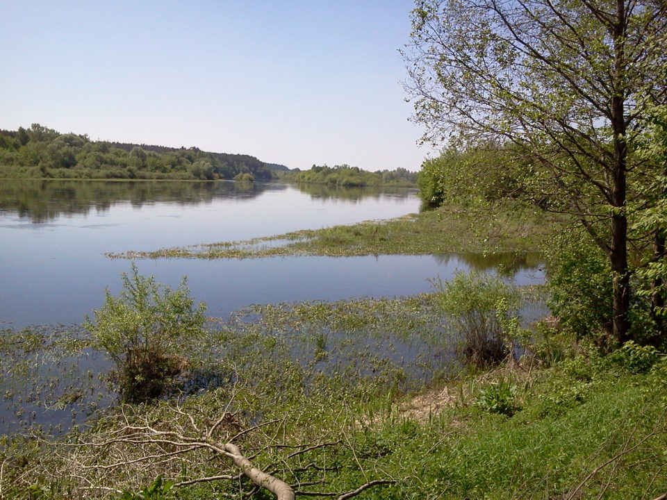 Sūduvos žemės prie Nemuno ir Juodosios Ančios santakos.