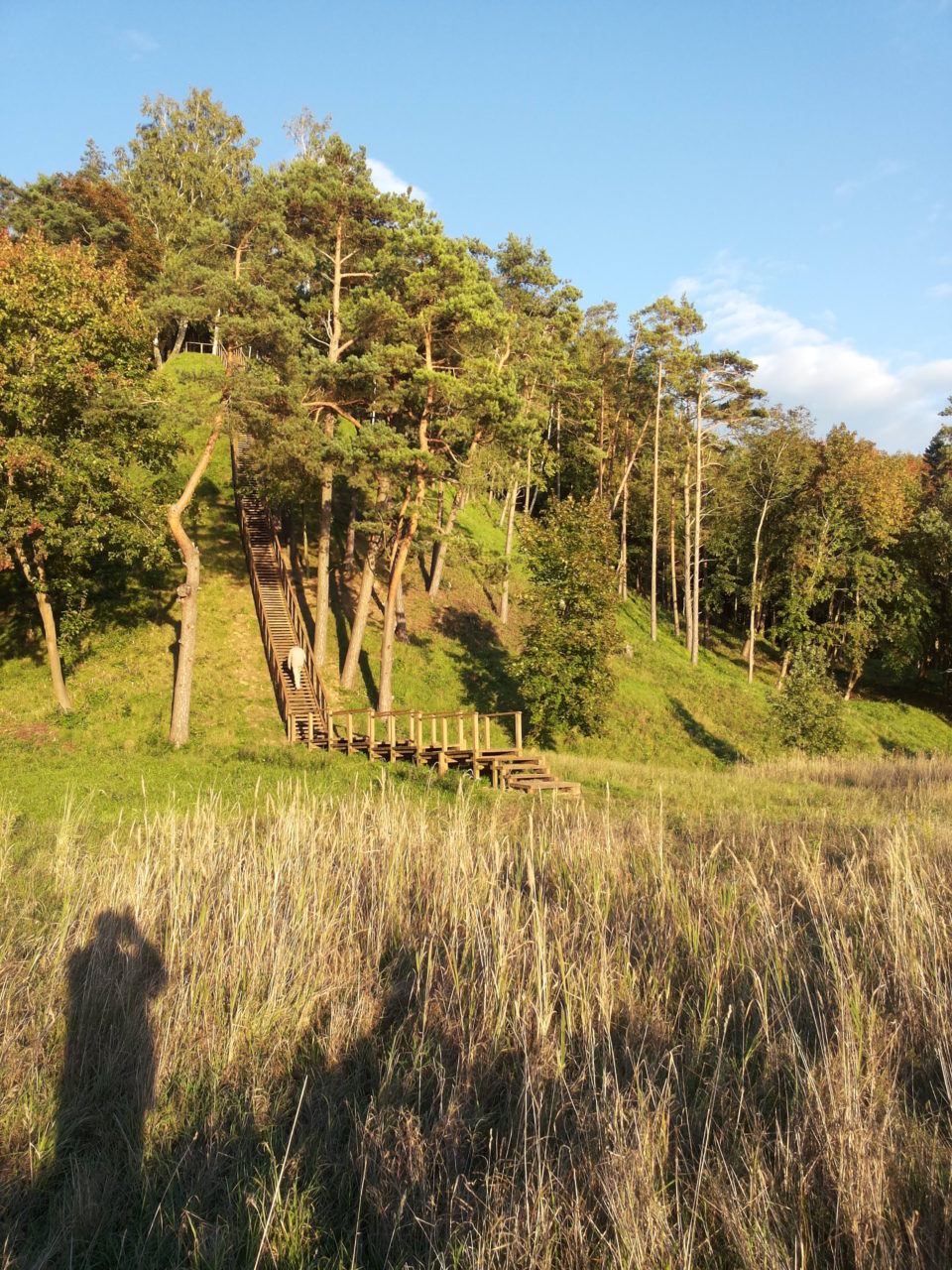 Senovės lietuvių – sūduvių, nadruvių ir skalvių – šventvietė Romuva – Rambyno kalnas.