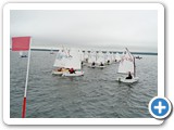 Jachtų Optimist startas Dusioje