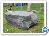 Mitologinis akmuo J. Šeimio sodybos kieme.