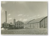 Panoraminis fabriko vaizdas (1931 m.).